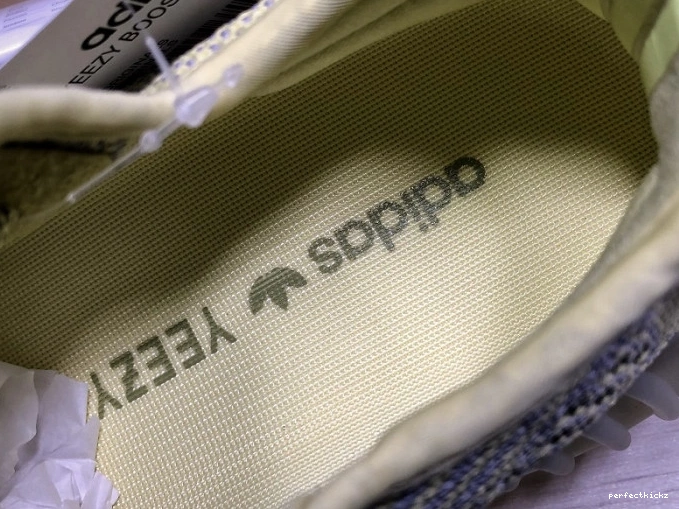 Yeezy Antlia Adidas V2 FV3250 Boost 350 0807